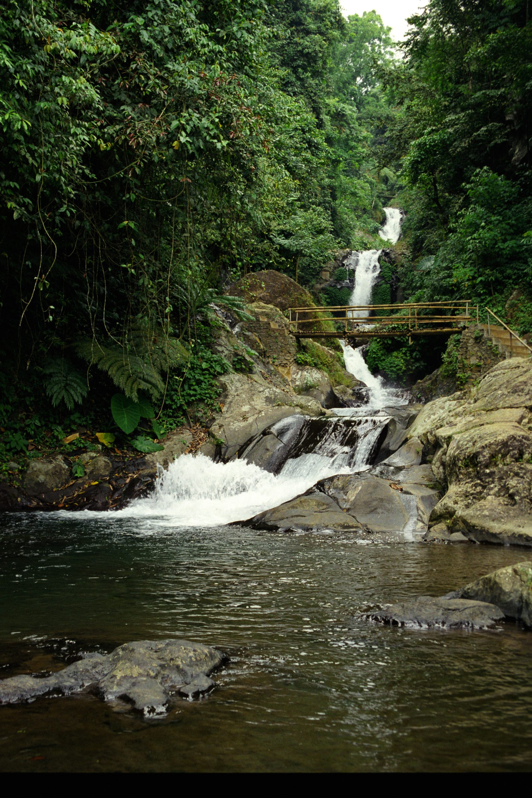 -  - Bali - Indonesia