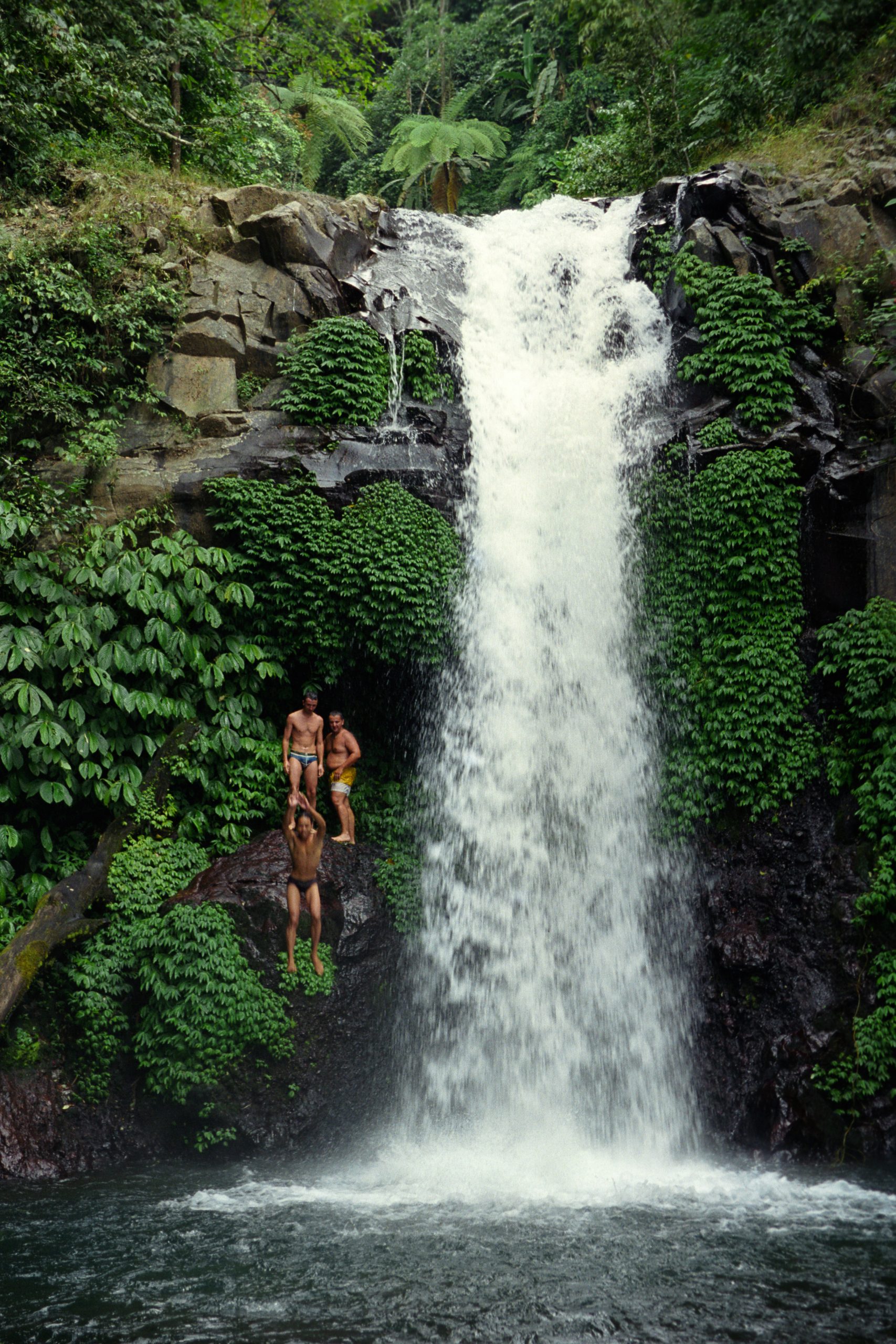 -  - Bali - Indonesia