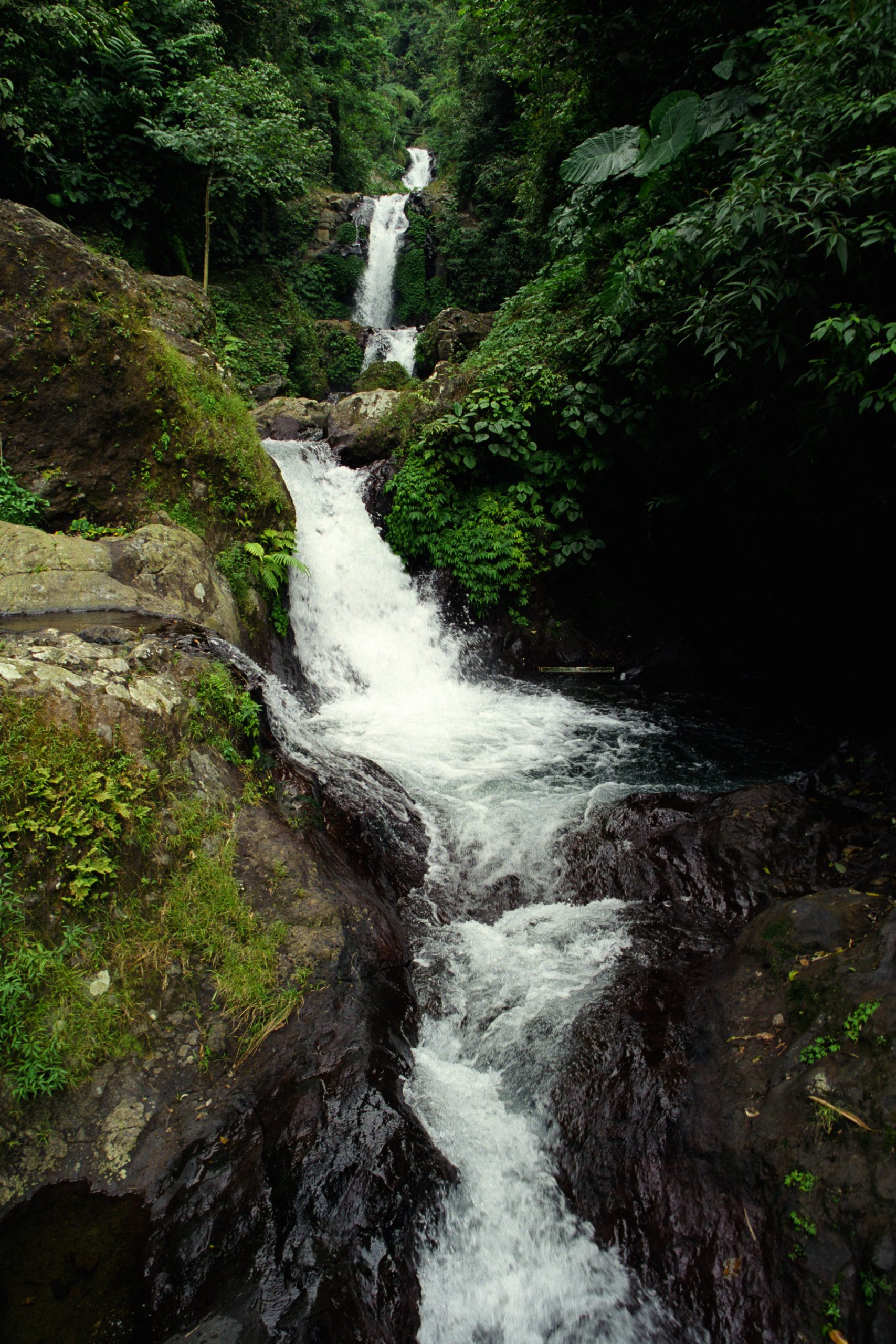 -  - Bali - Indonesia