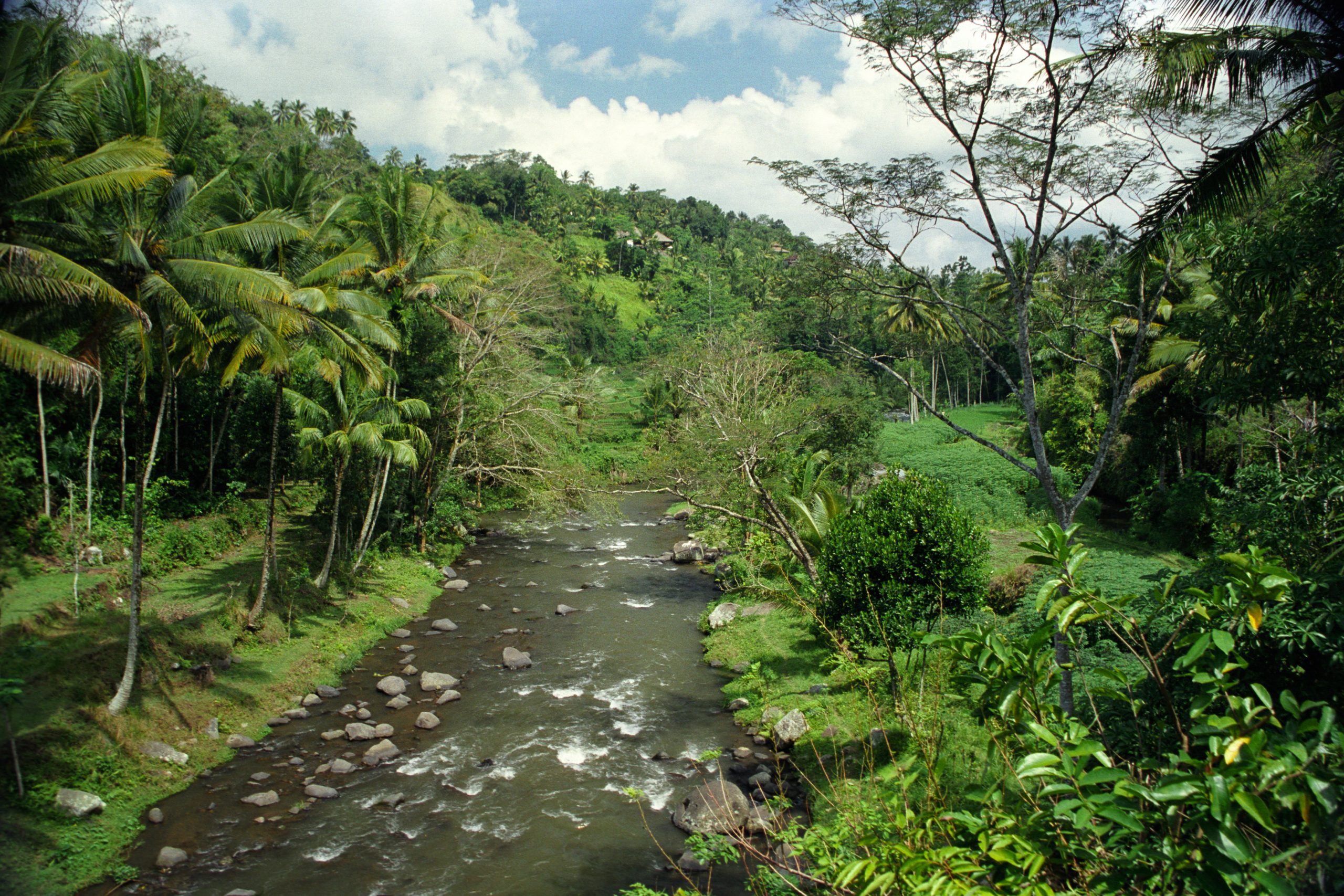 -  - Bali - Indonesia