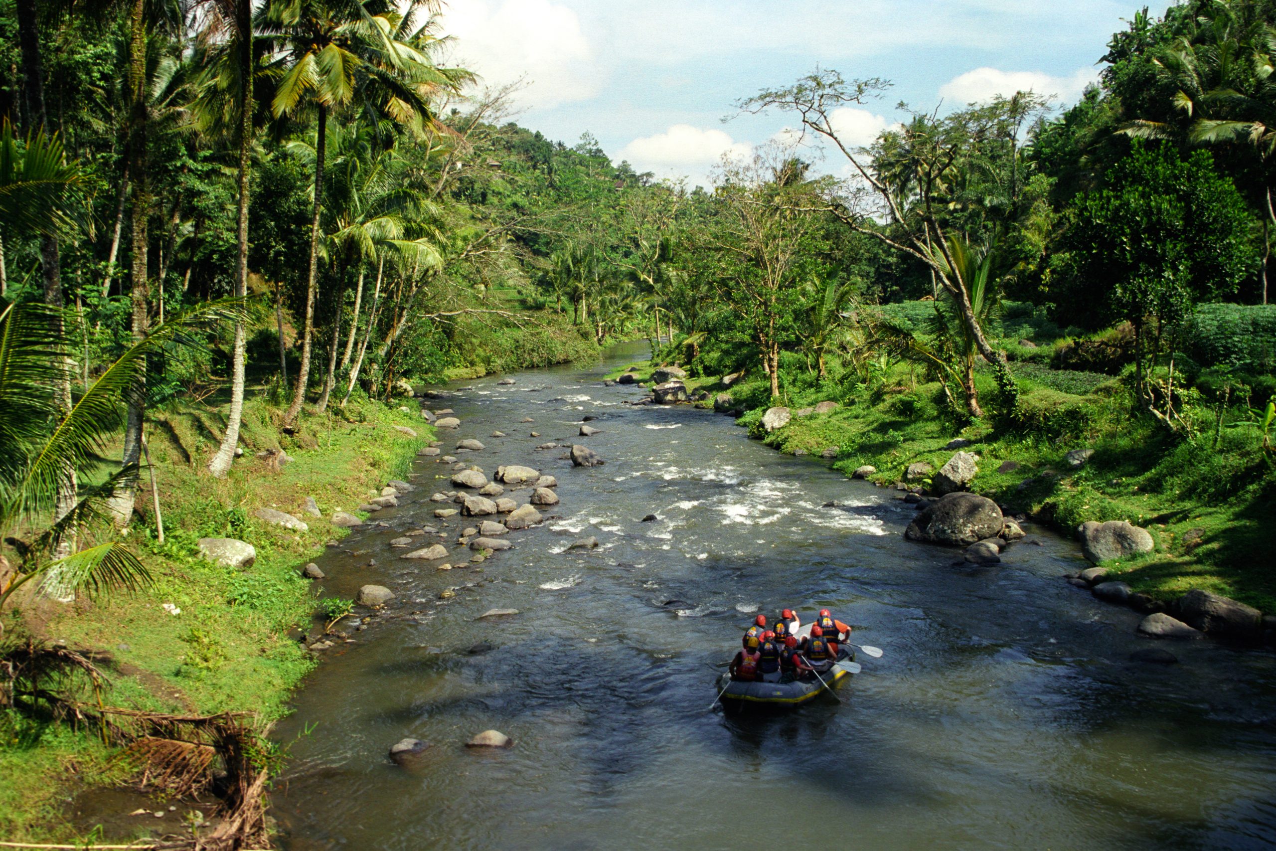-  - Bali - Indonesia