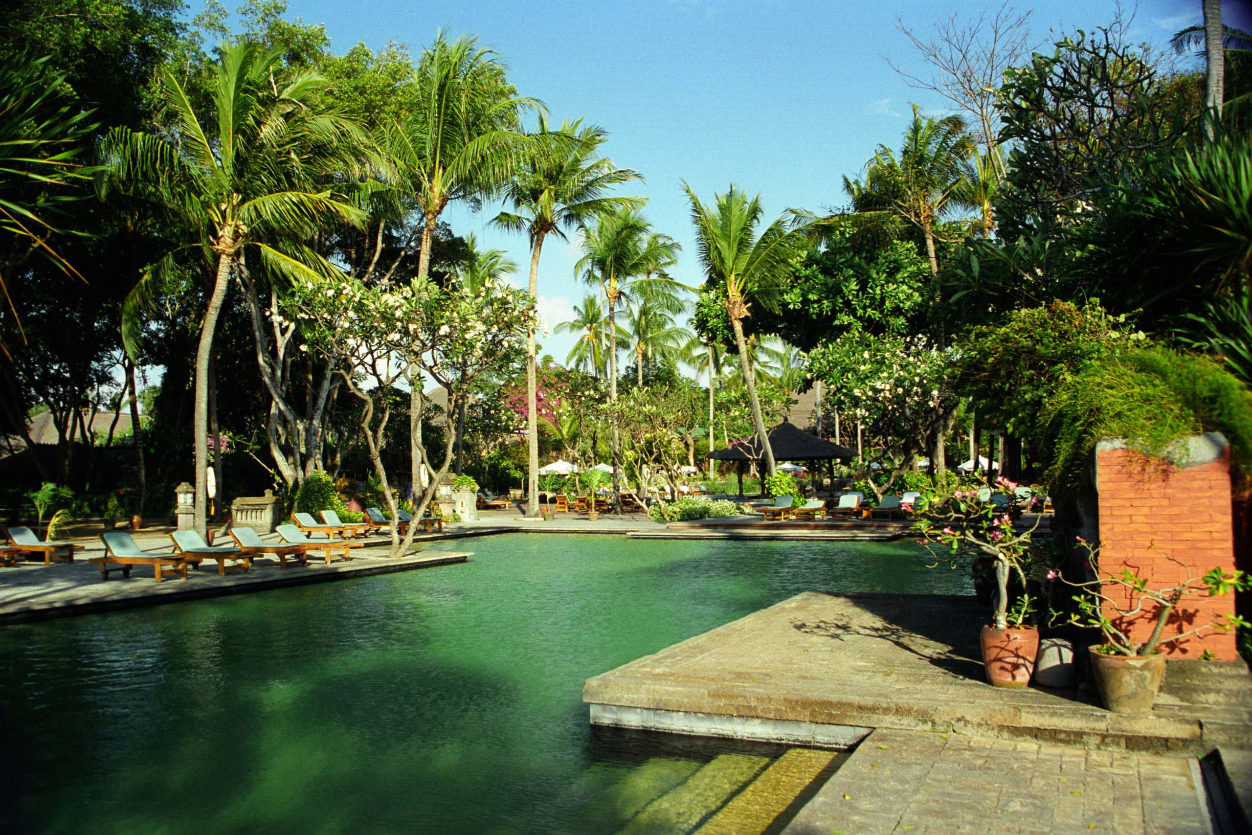 -  - Bali - Indonesia