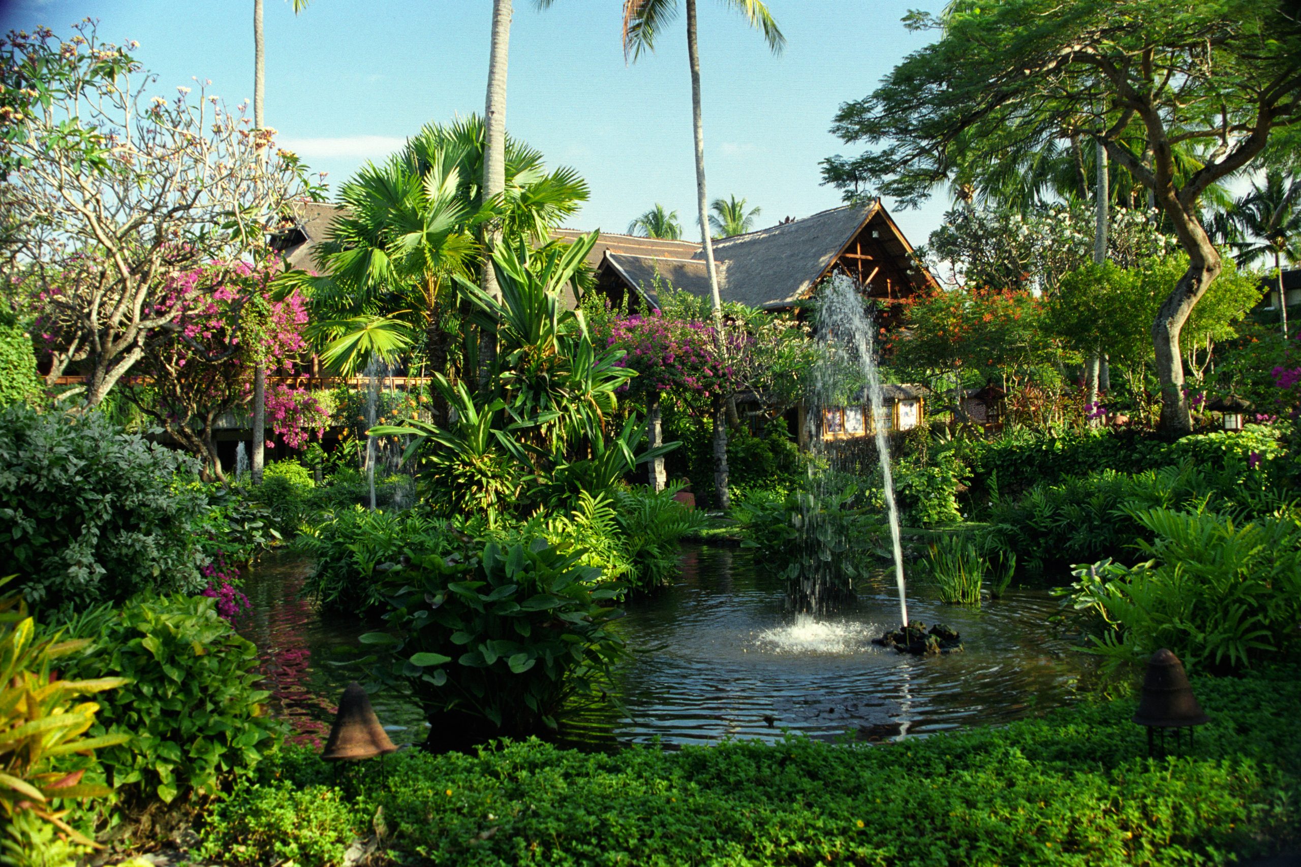 -  - Bali - Indonesia