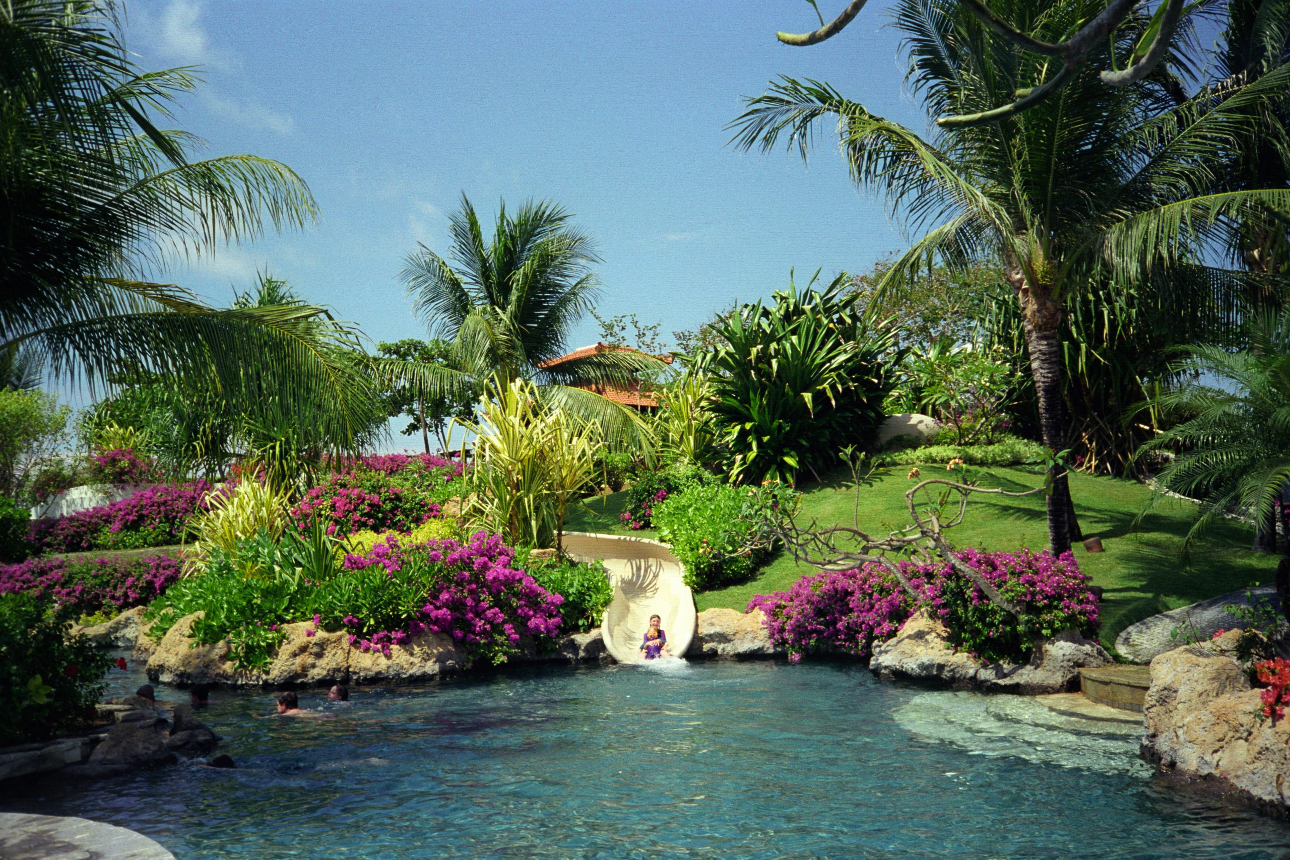 -  - Bali - Indonesia