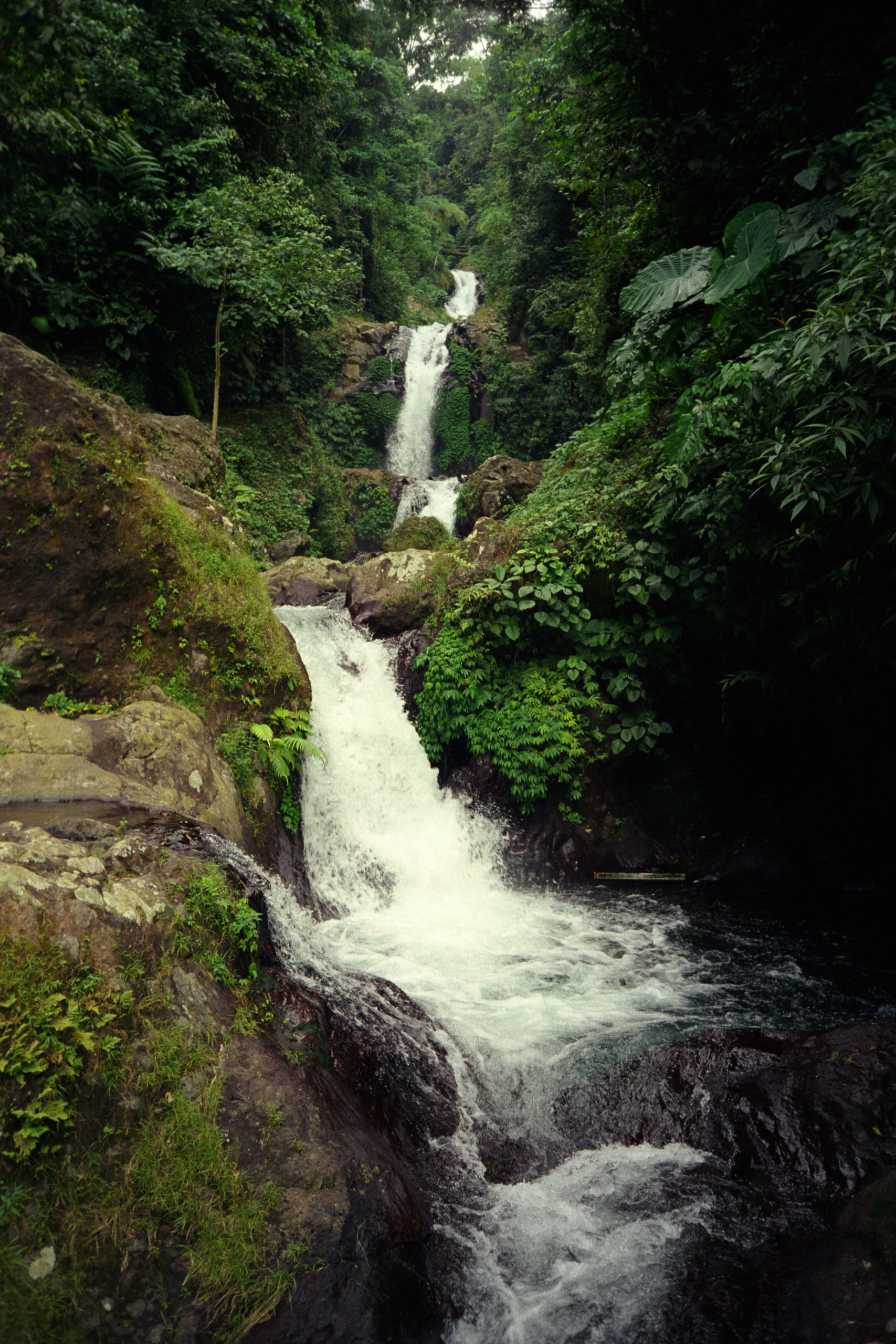 -  - Bali - Indonesia