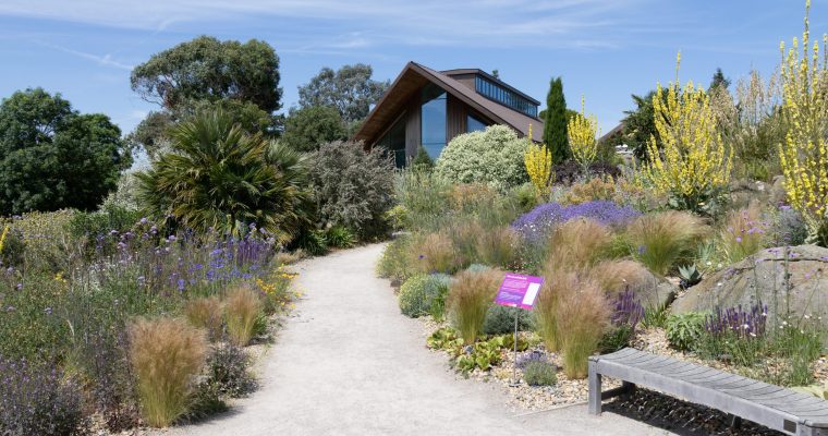 RHS Hyde Hall – 29th June 2024
