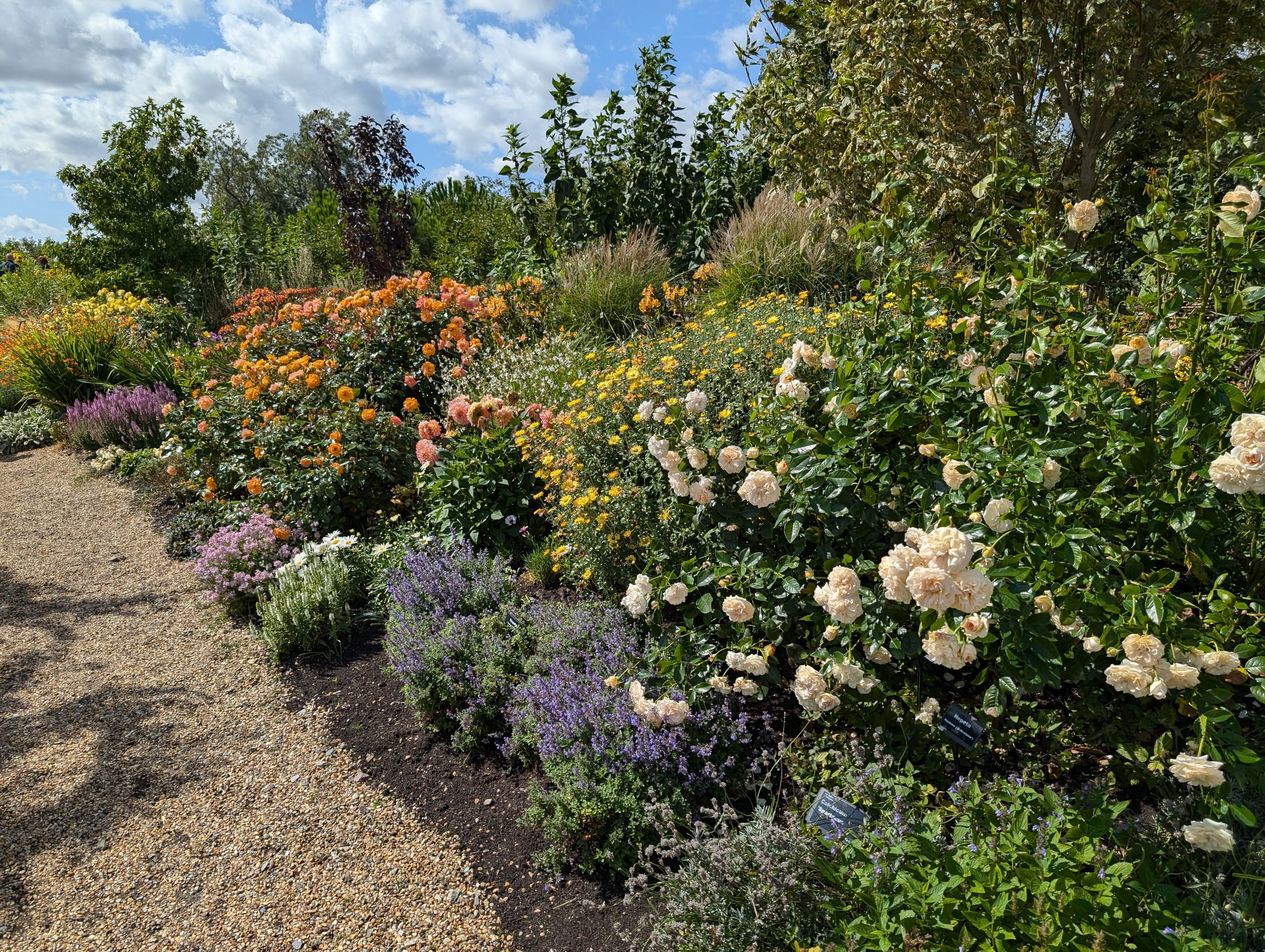 RHS Hyde Hall - Chelmsford - Essex - England