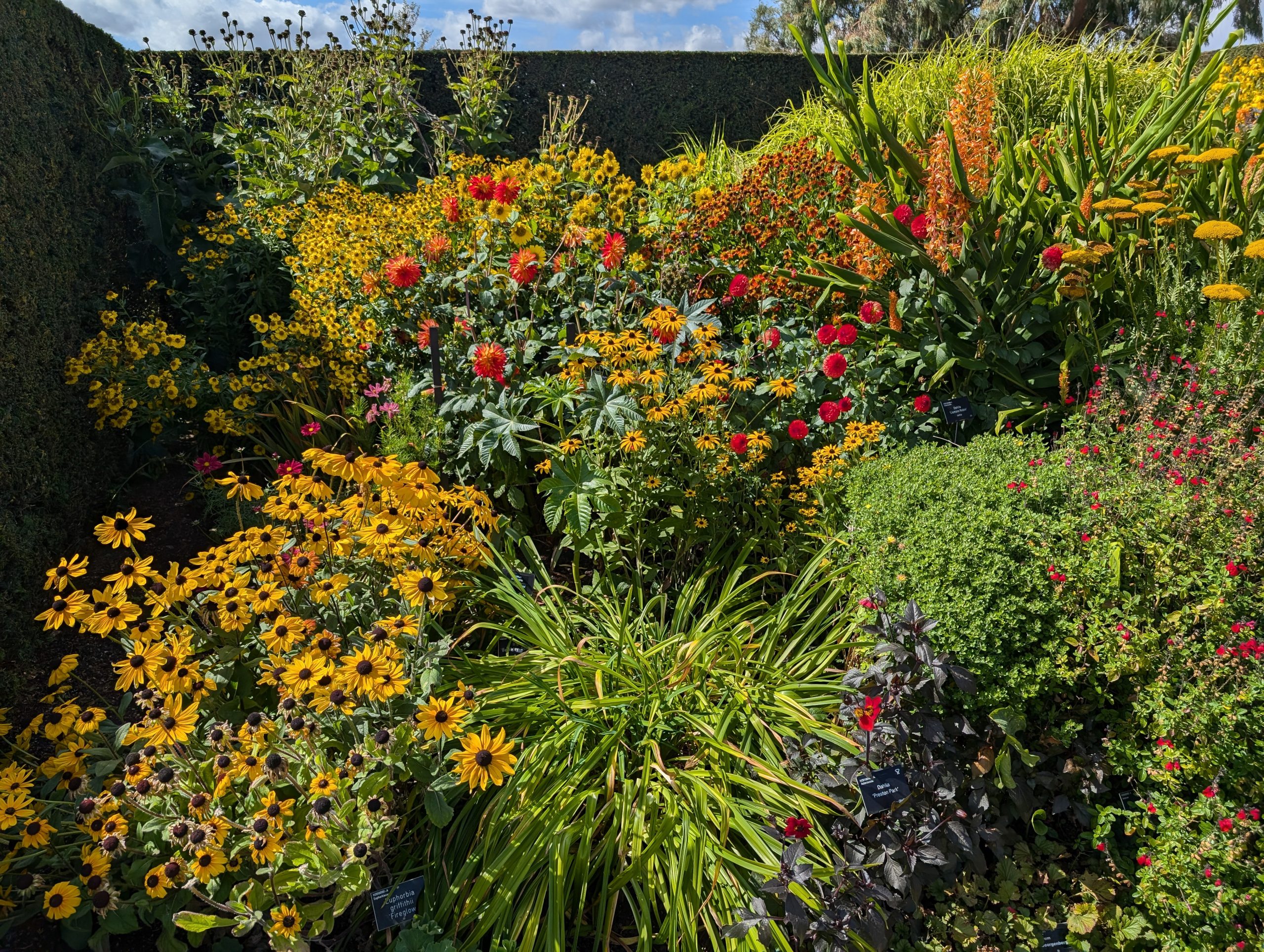 RHS Hyde Hall - Chelmsford - Essex - England