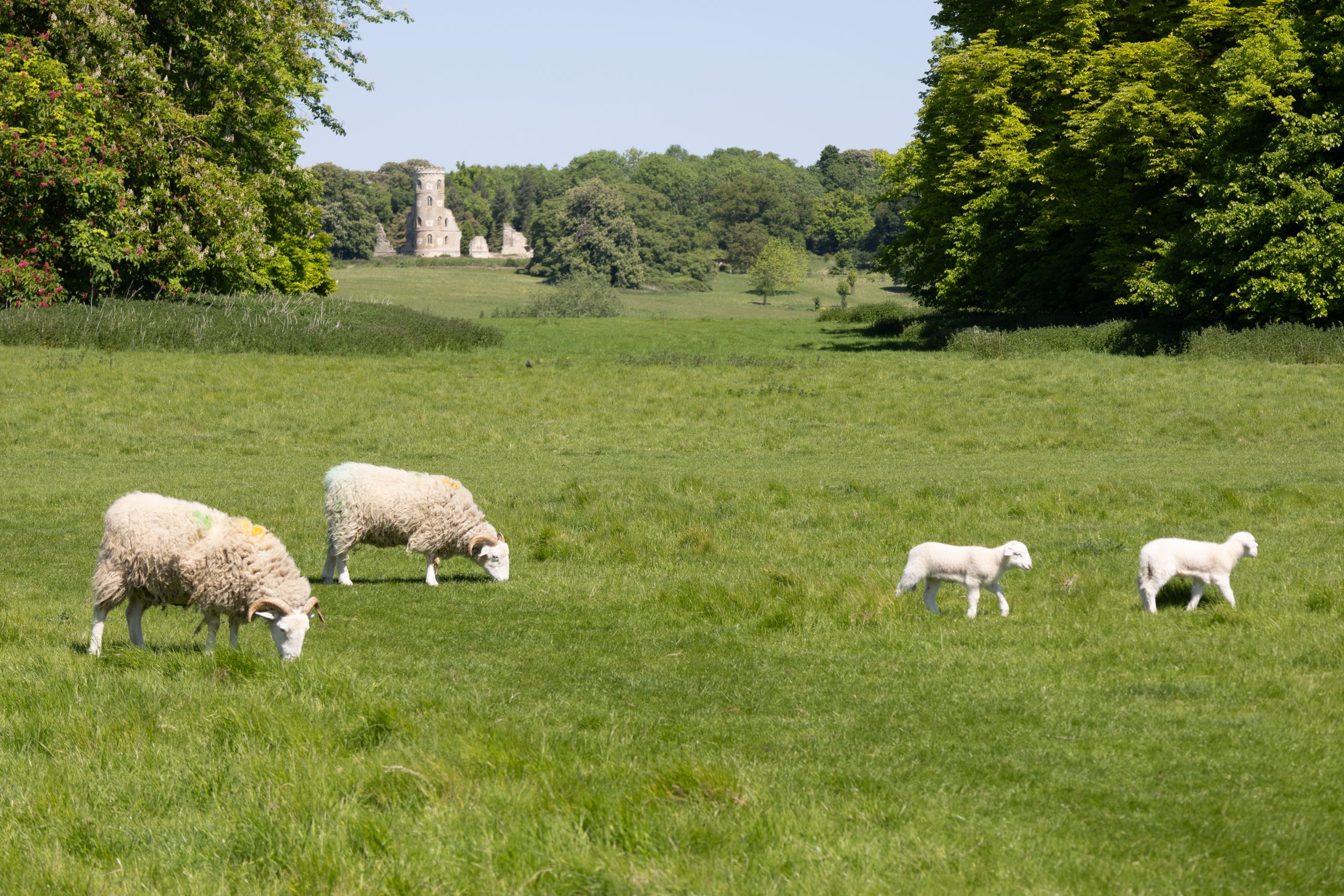 Wimpole Hall - Arrington - Cambridgeshire - England