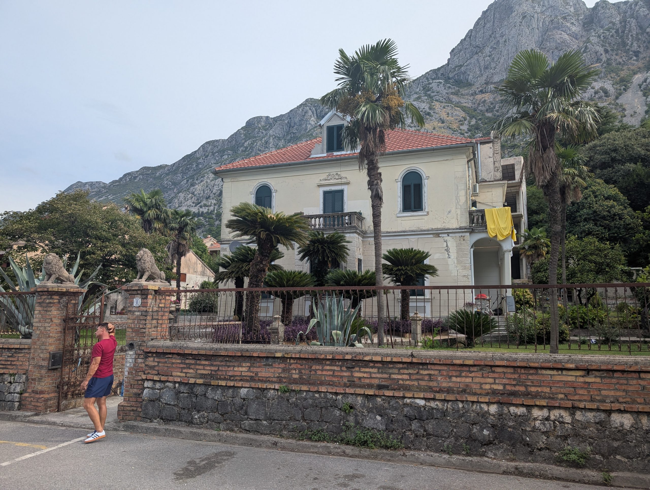 - Kotor - Kotor - Montenegro