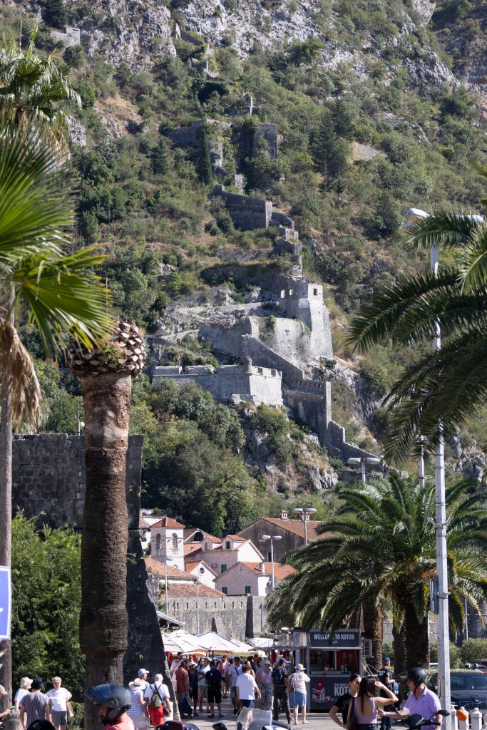 Old Town - Kotor - Kotor - Montenegro