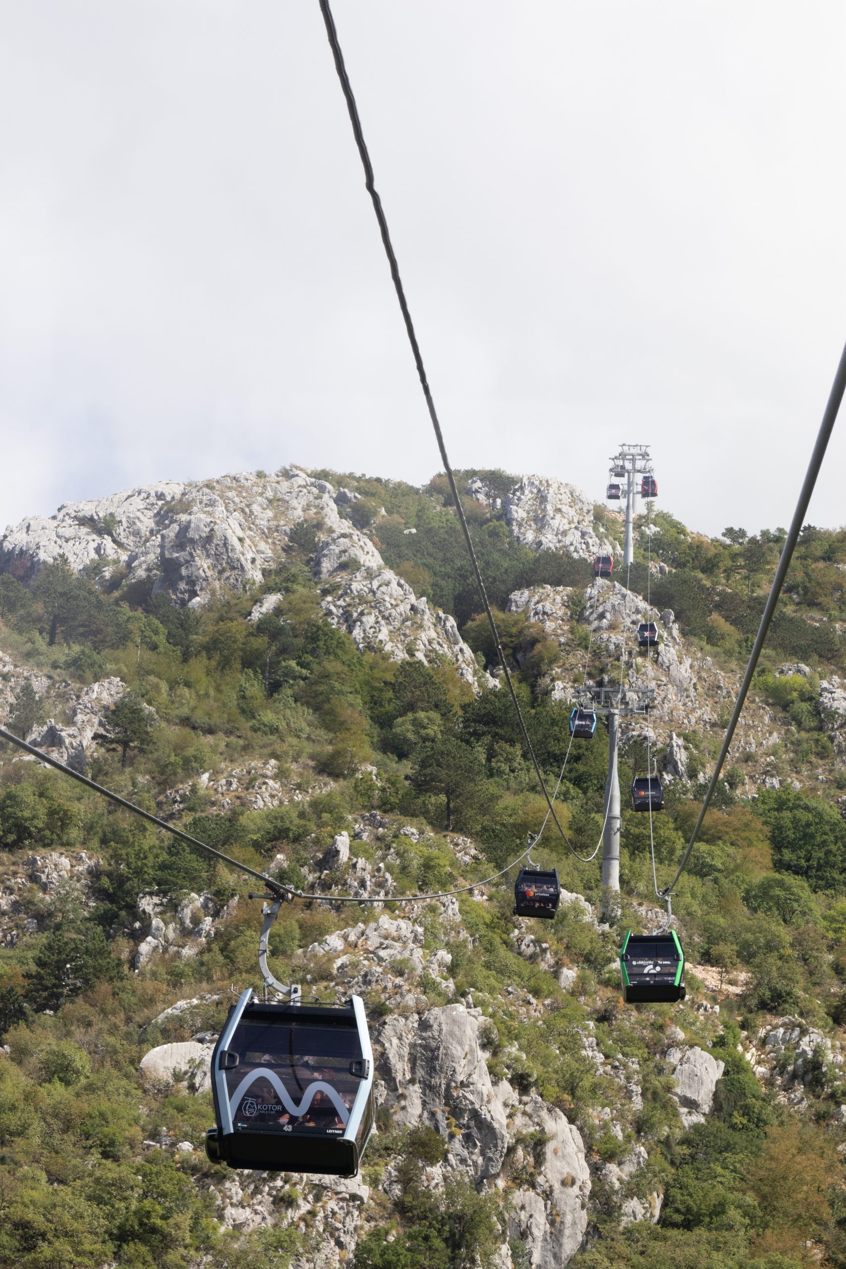 -  - Kotor - Montenegro