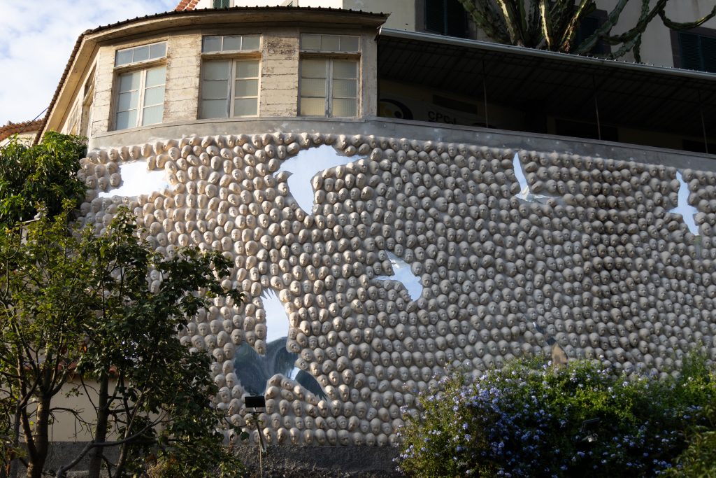 - Ponta do Sol - Madeira - Portugal