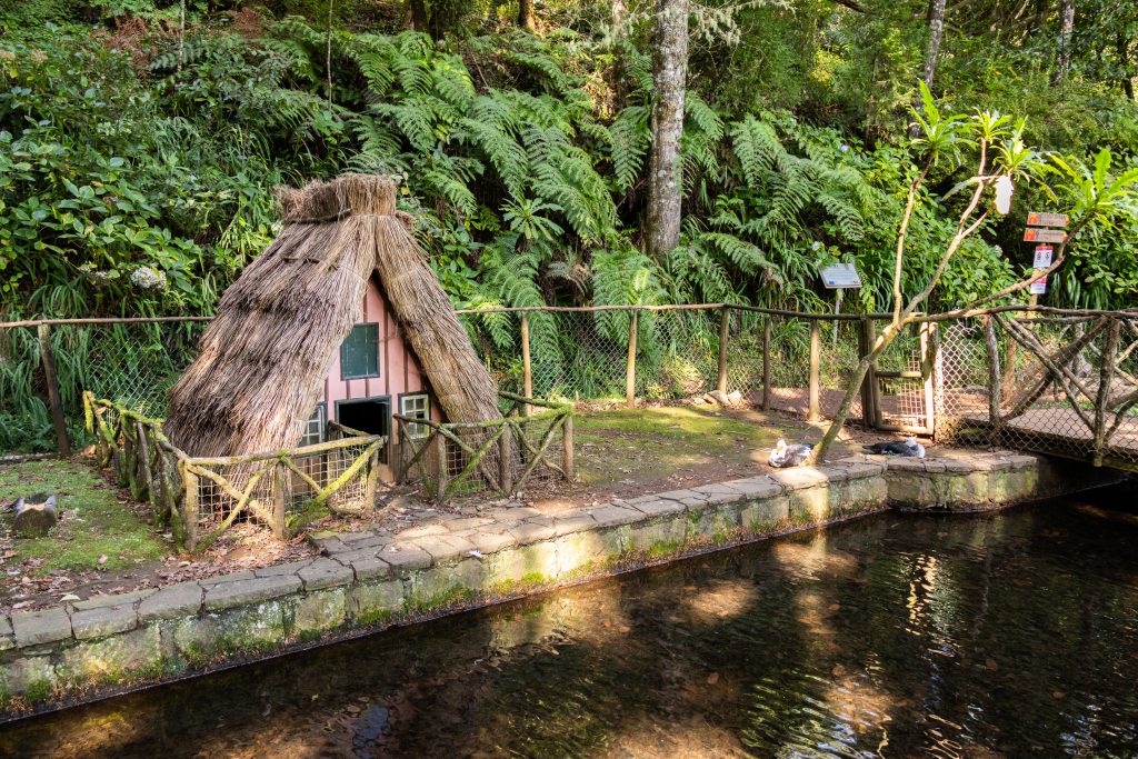 Parque Florestal das Queimadas - Santana - Madeira - Portugal