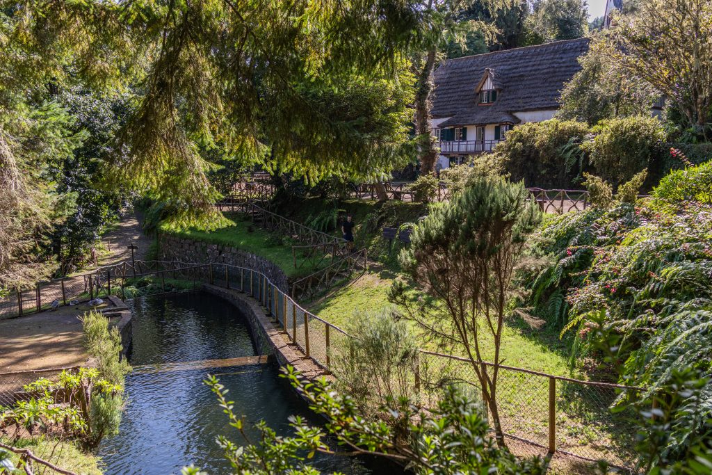 Parque Florestal das Queimadas - Santana - Madeira - Portugal