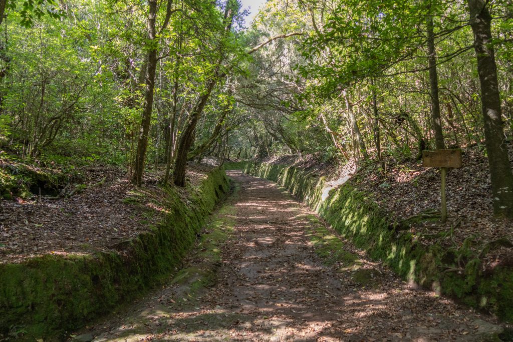 Levada do Caldeirão Verde PR9 - Santana - Madeira - Portugal