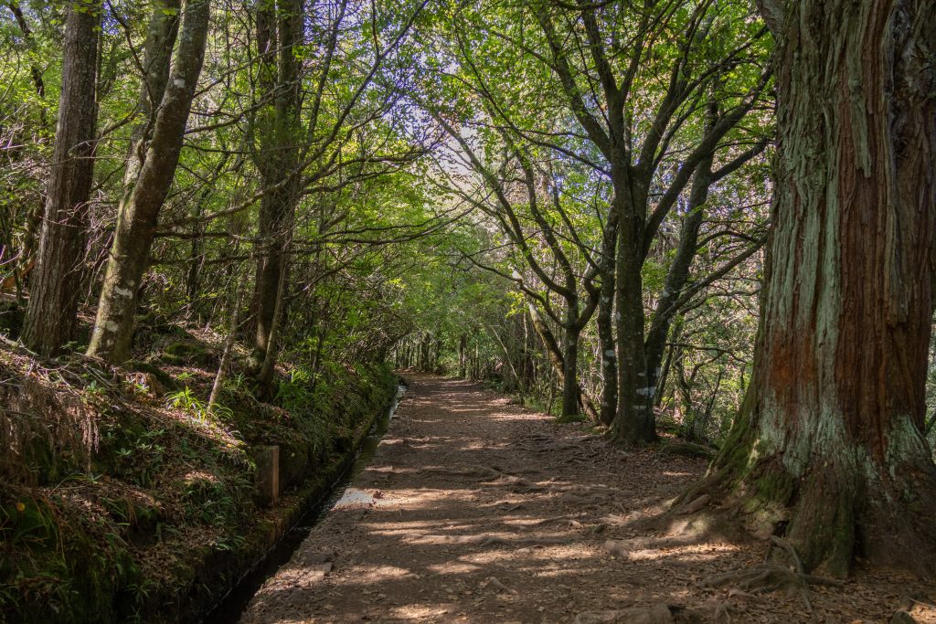 Levada do Caldeirão Verde PR9 - Santana - Madeira - Portugal