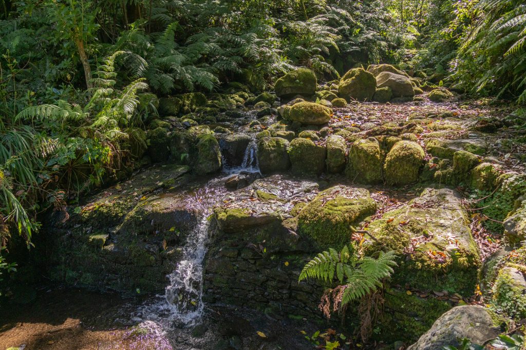 Um caminho para todos - Santana - Madeira - Portugal