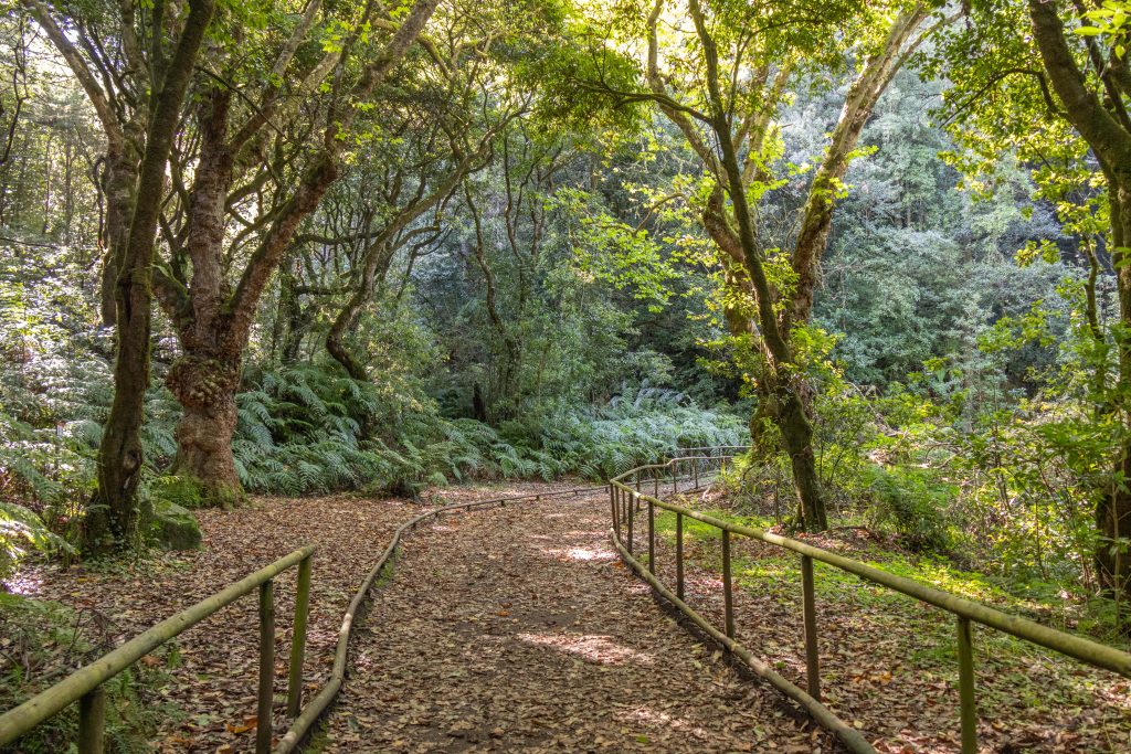 Um caminho para todos - Santana - Madeira - Portugal