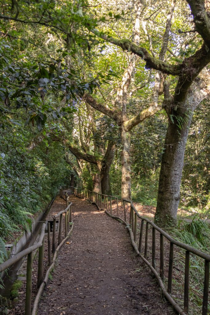 Um caminho para todos - Santana - Madeira - Portugal