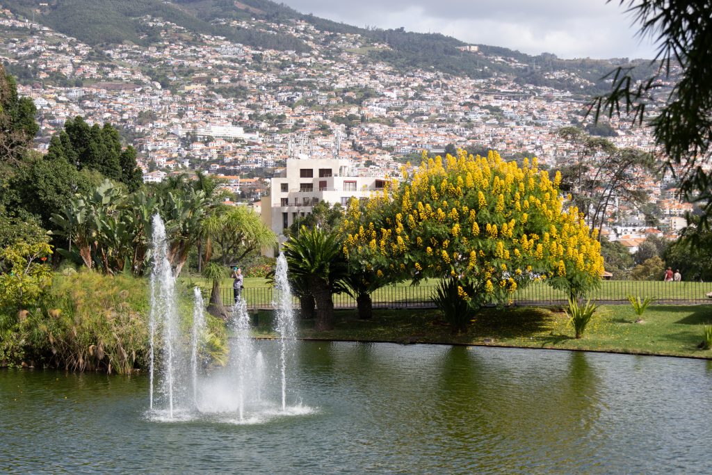 Parque de Santa Catarina - Funchal - Madeira - Portugal