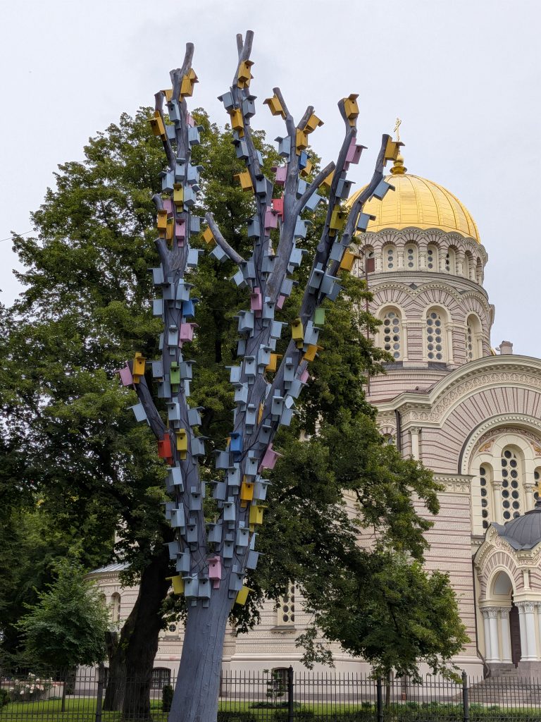 200 putnubūru koks - Riga -  - Latvia