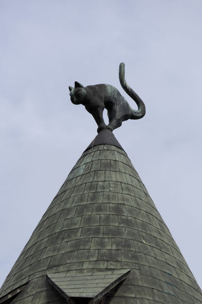 Cat House - Riga -  - Latvia